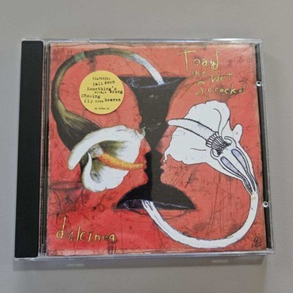 Toad the Wet Sprocket - Dulcinea - CD Album - Vtg 1994 90s - Alternative Rock